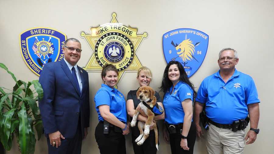 St John Parish Sheriff S Office Welcomes New K 9 Officer - sjsotraining map roblox