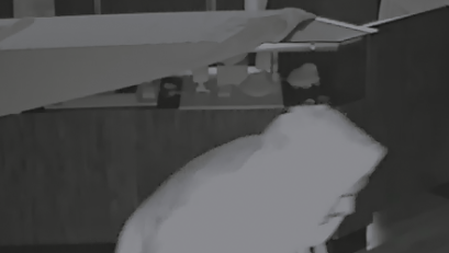 Man caught on camera stealing diamonds, wedding rings from Upstate ...