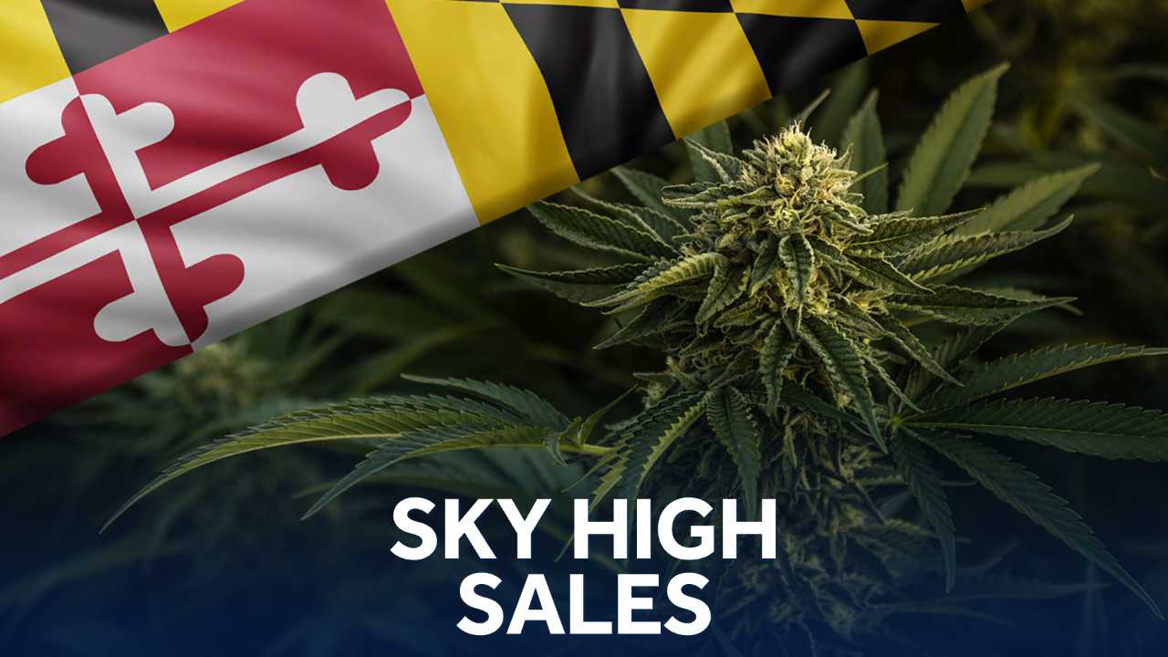 Maryland Cannabis Sales Sky-high In July Alone