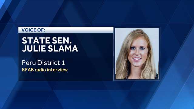 Slama details allegations against Herbster, who says he plans to sue - Vimarsana News