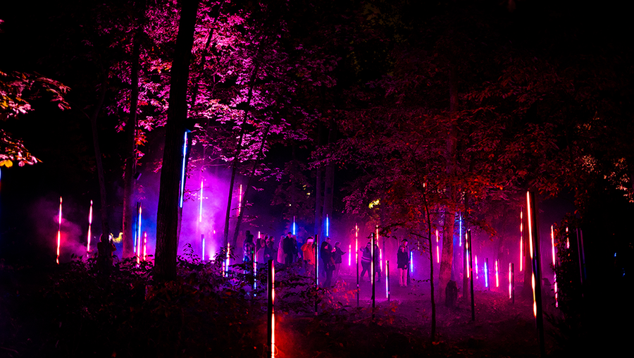 North Forest Lights at Crystal Bridges Museum of American Art, Bentonville, Arkansas. Courtesy of Moment Factory