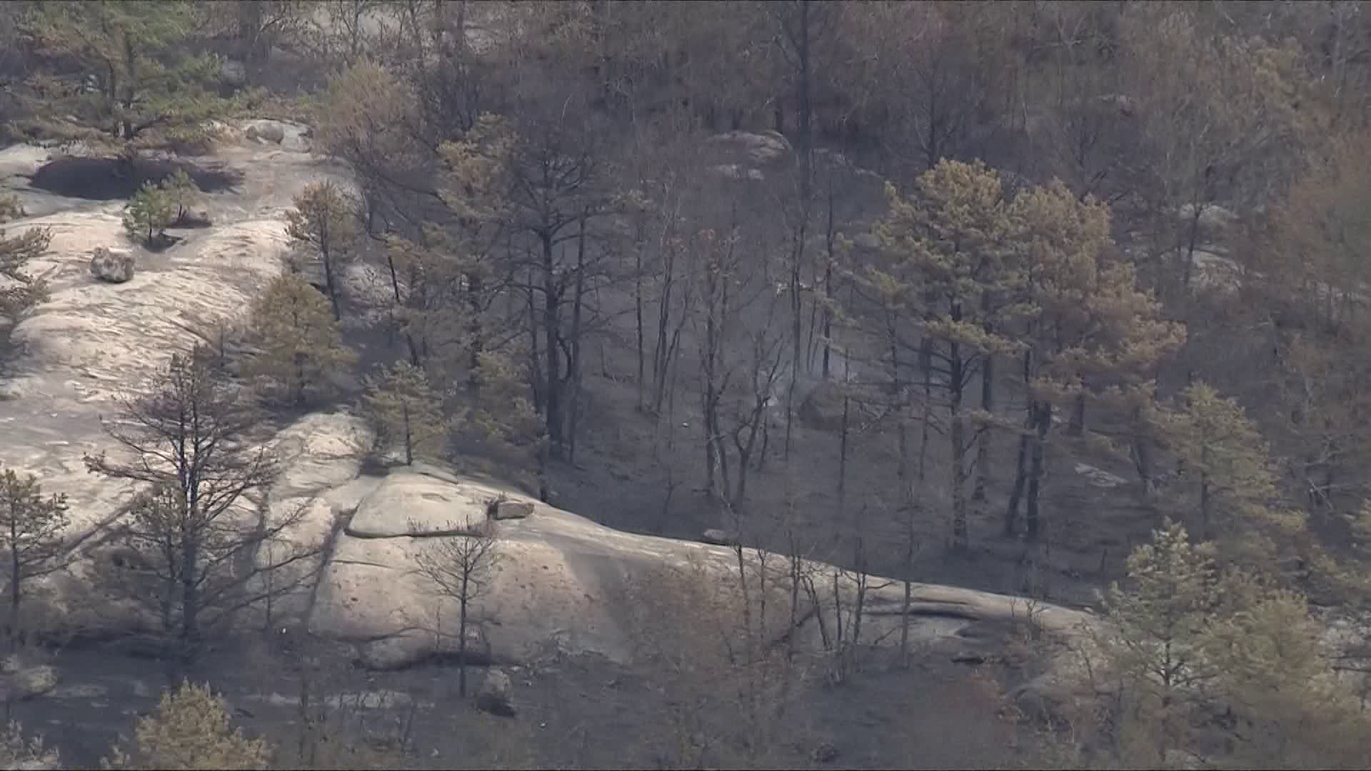 Dry, Breezy Weather Conditions Bring Brush Fire Danger In Mass.