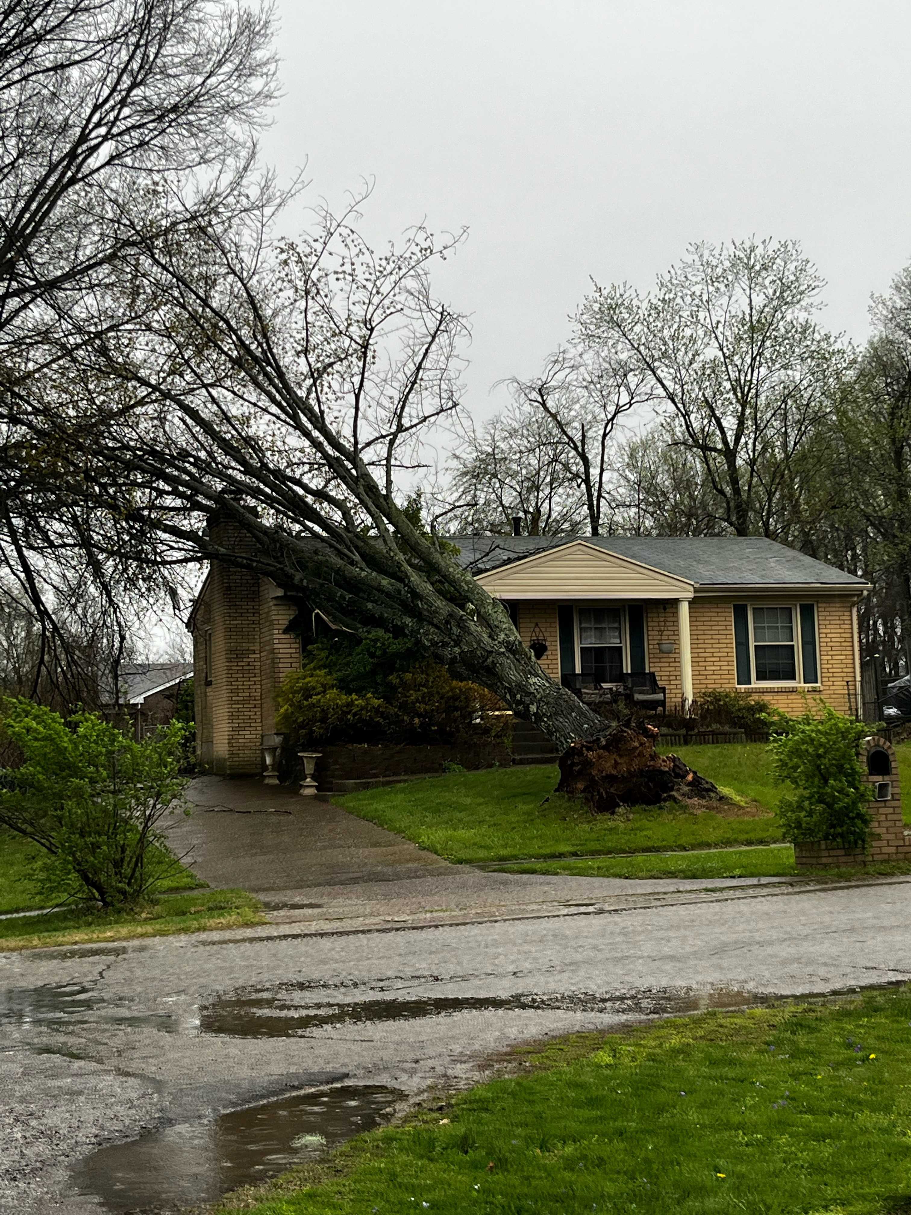 Lone fatality of wednesday night storms hit by tree