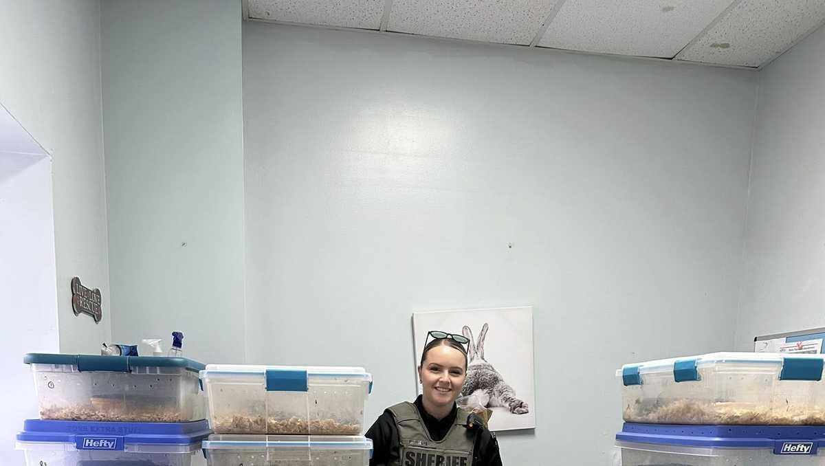 South Carolina man accused of abandoning 52 snakes after being fired