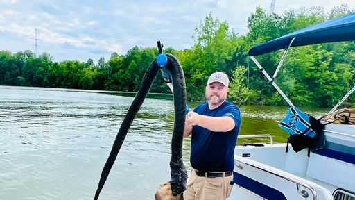 Boaters discover massive snake in Indiana lake - Vimarsana News
