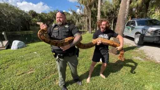 Florida deputies find 10-foot boa constrictor in garage - Vimarsana News
