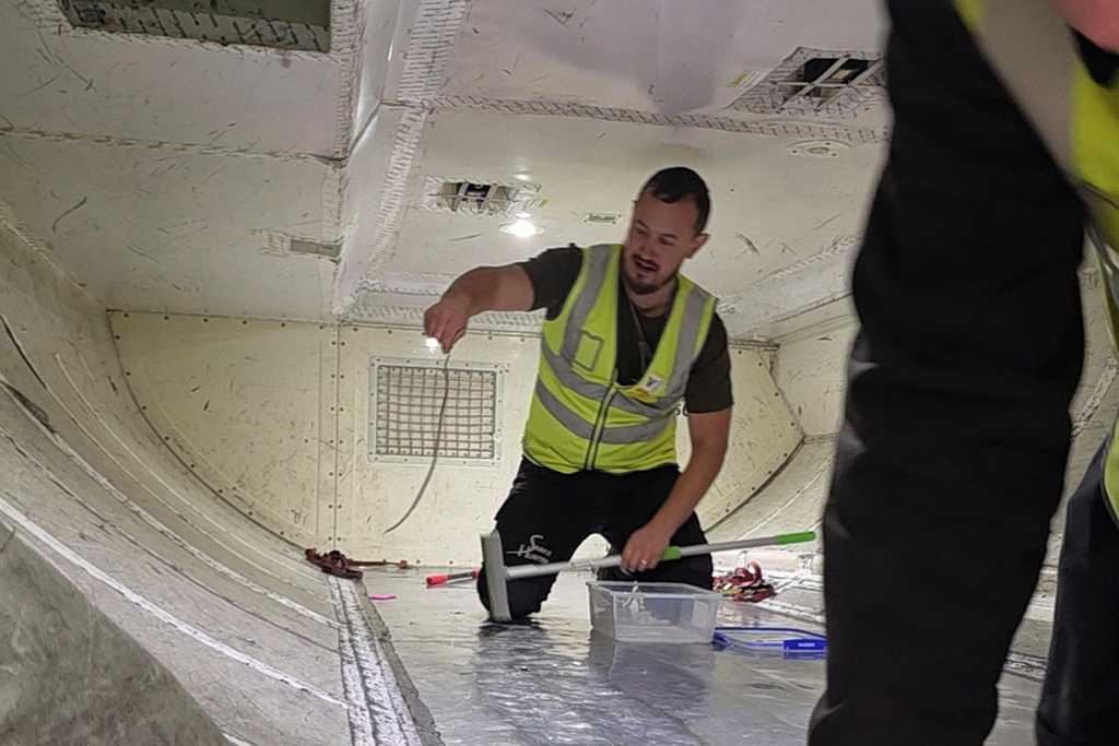 Snake on a plane delays a flight in Australia