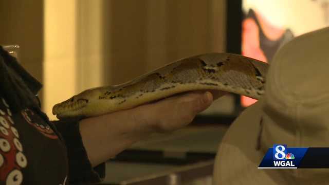 'Snakesgiving' came to Lancaster North Museum - Vimarsana News