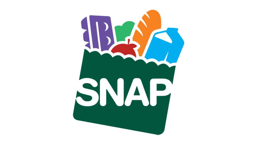 Supplemental Nutrition Assistance Program - SNAP