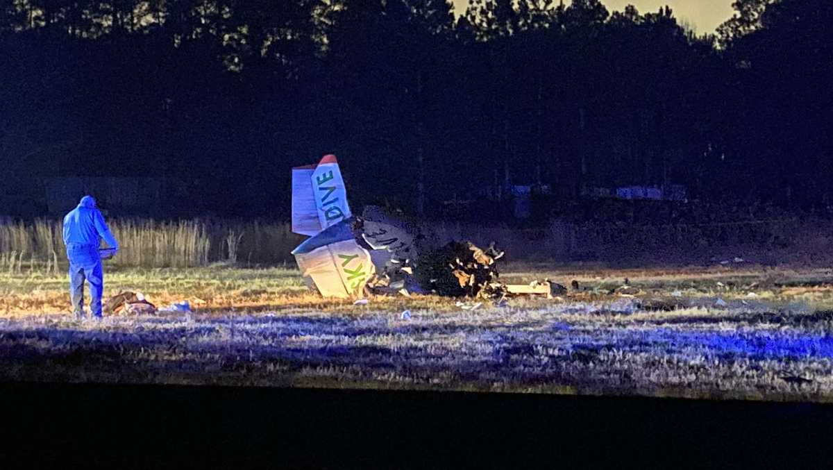 Statesboro: Pilot killed in single-engine plane crash - WJCL