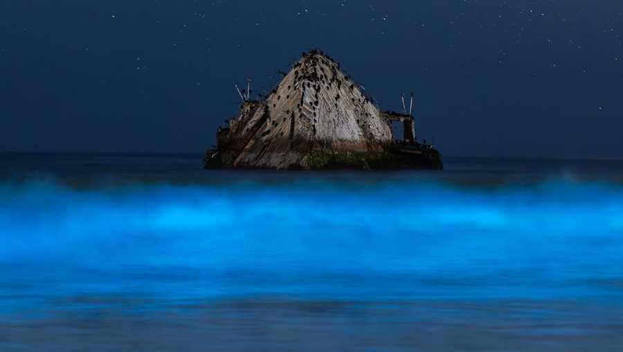 Santa Cruz County waves glow blue from Bioluminescent plankton
