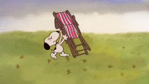 Relive A Charlie Brown Thanksgiving On Kmbc 9 News Relive A Charlie Brown Thanksgiving On Kmbc 9 News