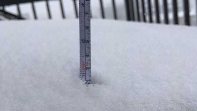 Snow Check Level How much snow? Check updated totals
