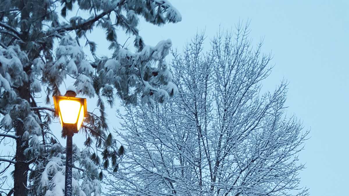 Check out snow pictures from around the Upstate, western North Carolina