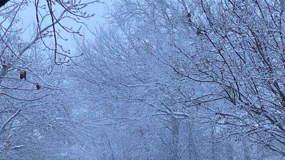 Gallery Viewers share pictures of snowfall in Oklahoma