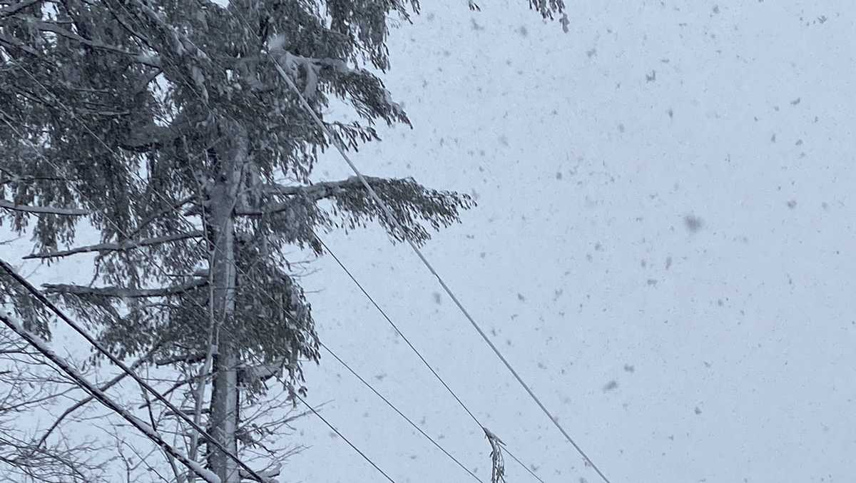 Heaviest snow from nor'easter could fall in NH's Monadnock Region