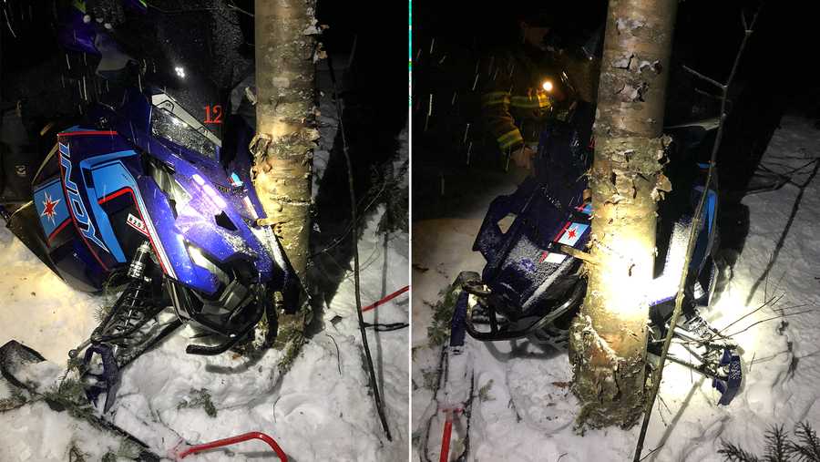 Snowmobile crashes into tree