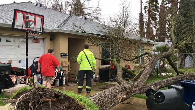 Strong winds topple trees, knock out power across Valley