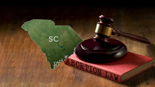 South Carolina: Supreme Court denies to rehear abortion ruling - Vimarsana News