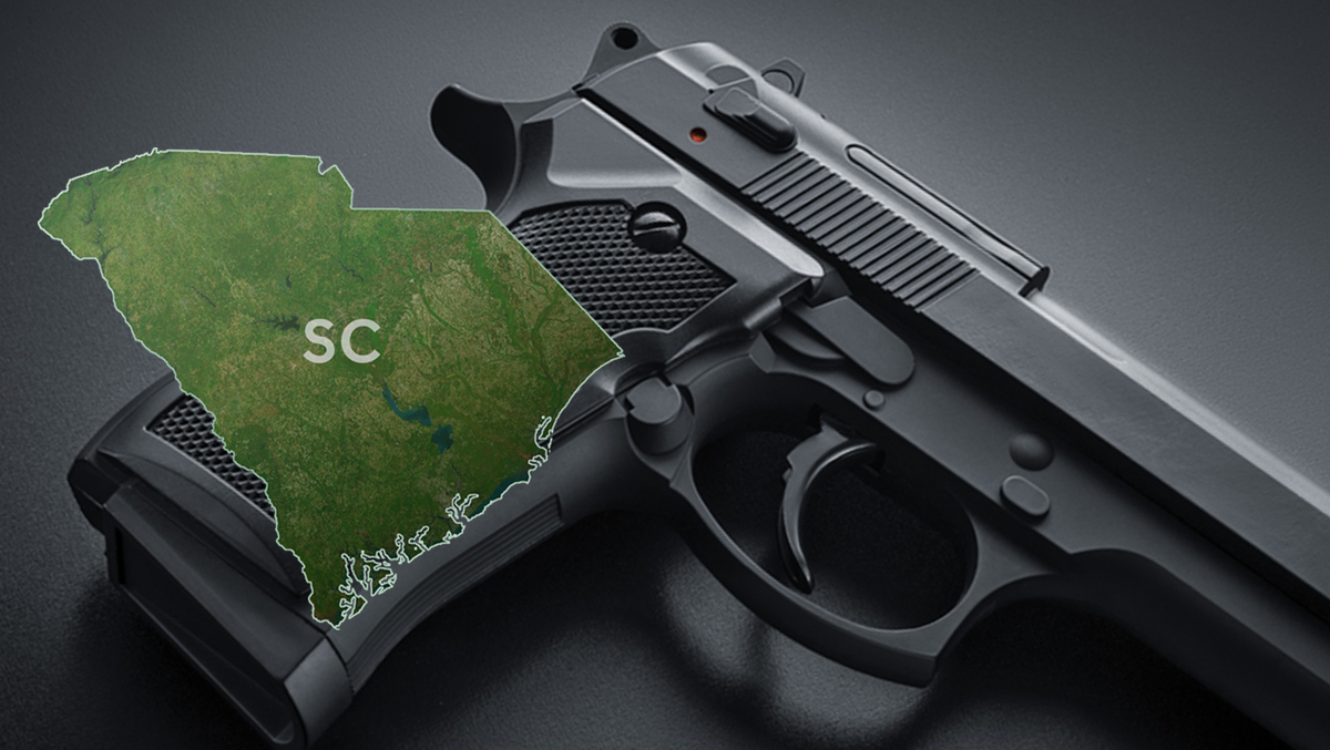 South Carolina What new open carry gun law allows, prohibits