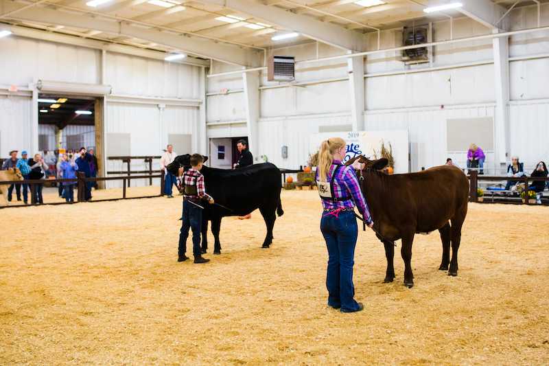 South Carolina State Fair Set For Oct In Columbia   South Carolina State Fair Oct 2019 Photo By Forrest Clonts 106 Webres 1662651278 