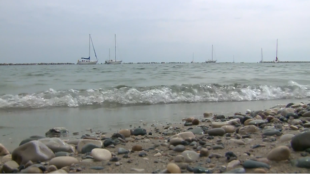 Three Milwaukee County beaches under bacteria warning - Vimarsana News