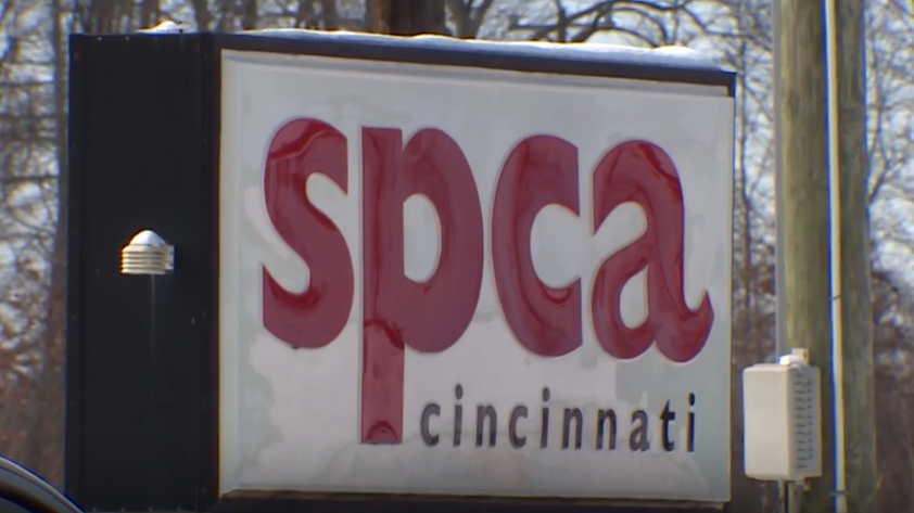 Cold weather challenging pet owners and shelters in Hamilton County