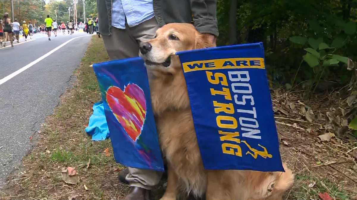 Spencer is now the official dog of the 126th Boston Marathon