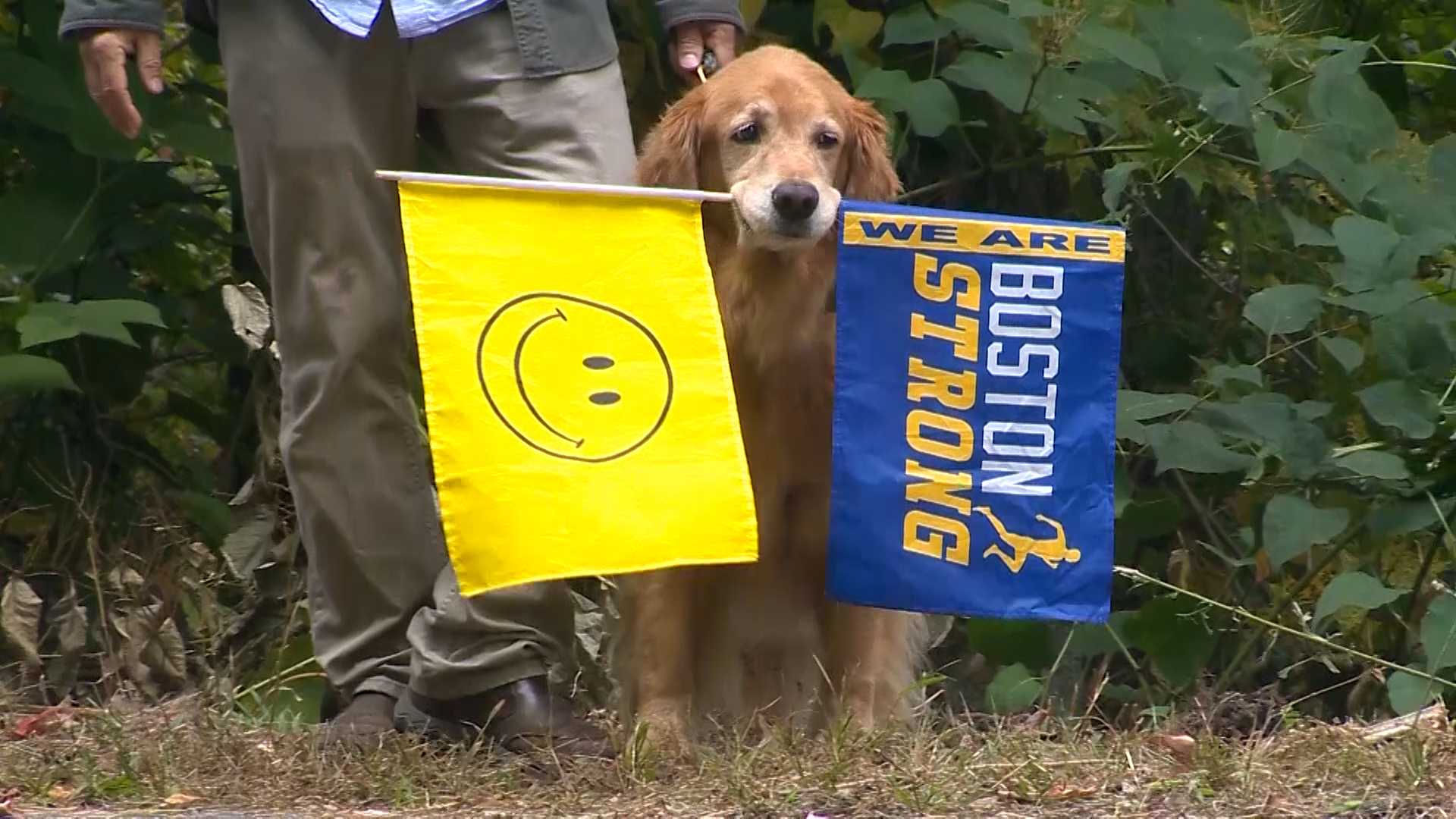 Spencer the Boston Marathon dog gets his own statue - Vimarsana News