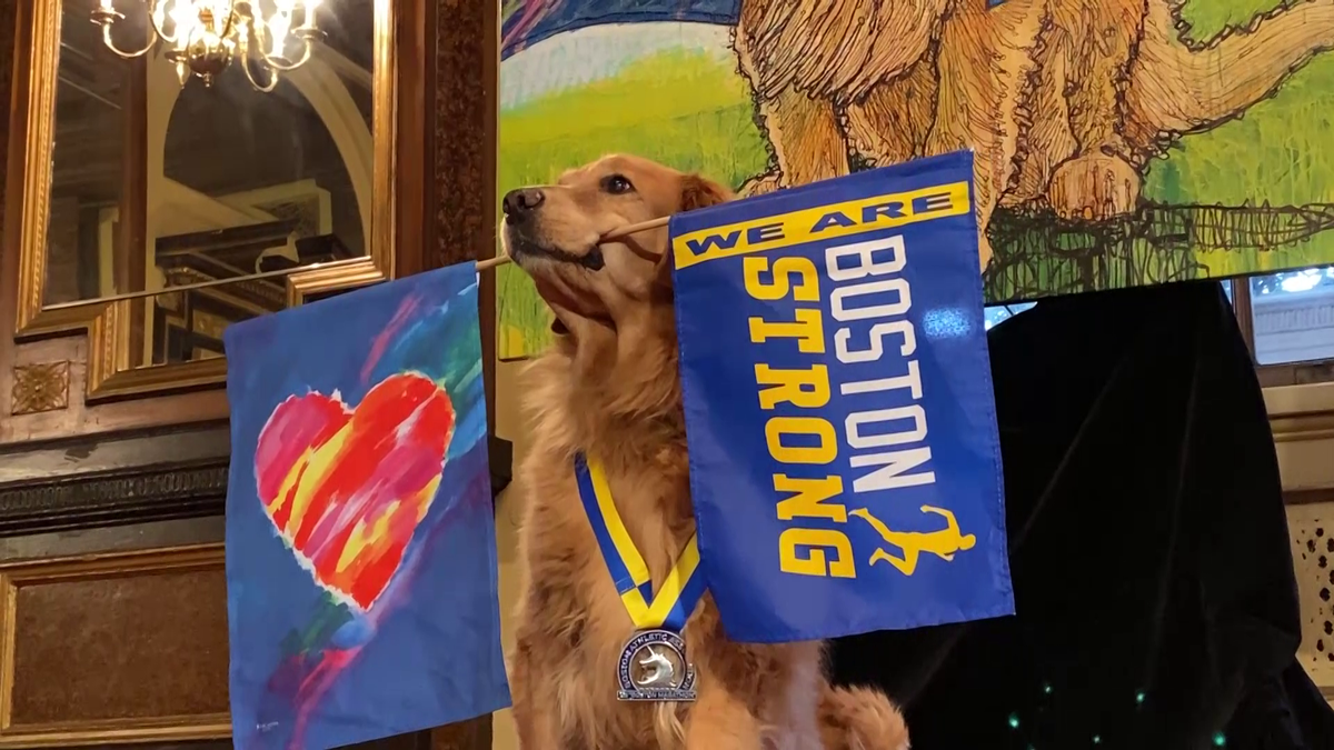 Boston Marathon dog, Spencer, honored with portrait