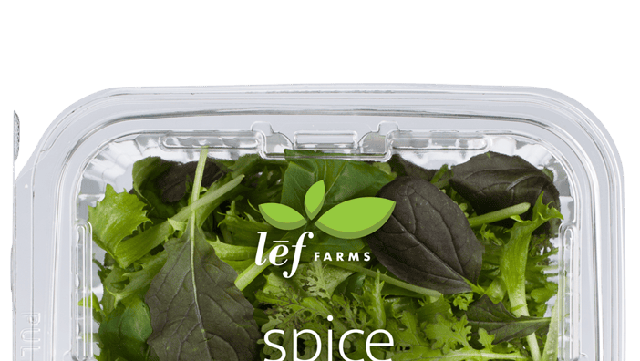 Lab error blamed for recall of salad greens sold in Maine - Vimarsana News