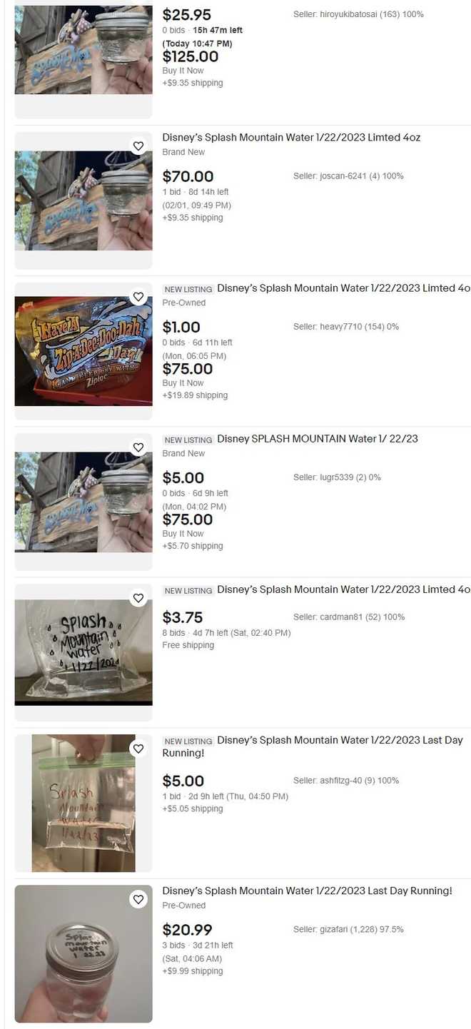 Splash Mountain water sold on eBay Splash Mountain water sold on eBay