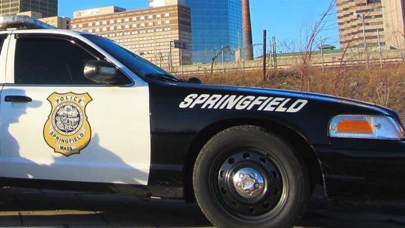 Springfield police car generic