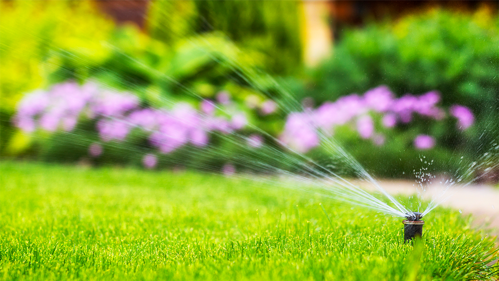 City in South Carolina asks residents to conserve water due to drought