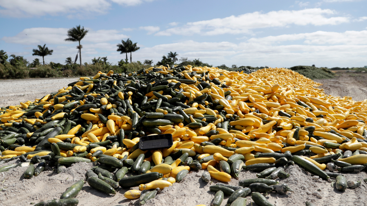 Florida vegetables hurt by coronavirus