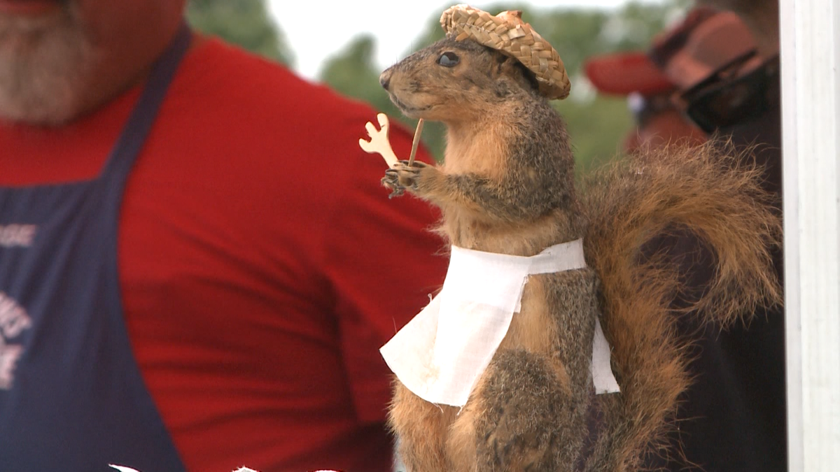 Champ Squirrel Arkansas' World Champion Squirrel Cook Off returns