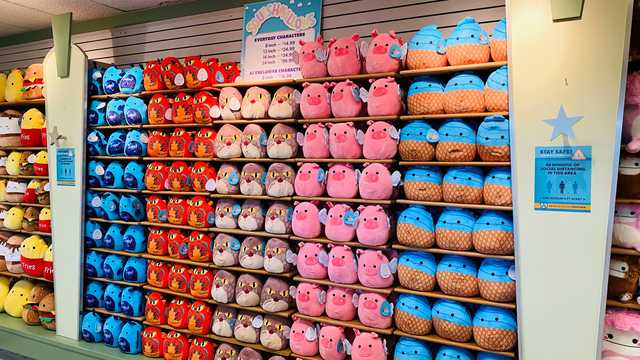 Kings Island opens new store that's devoted entirely to Squishmallows