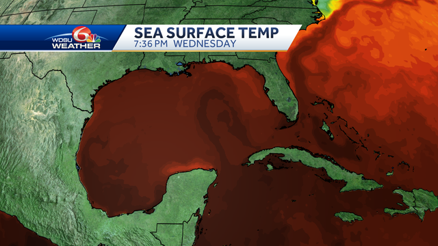 warm water loop in the Gulf of Mexico can aid hurricane formation - Vimarsana News