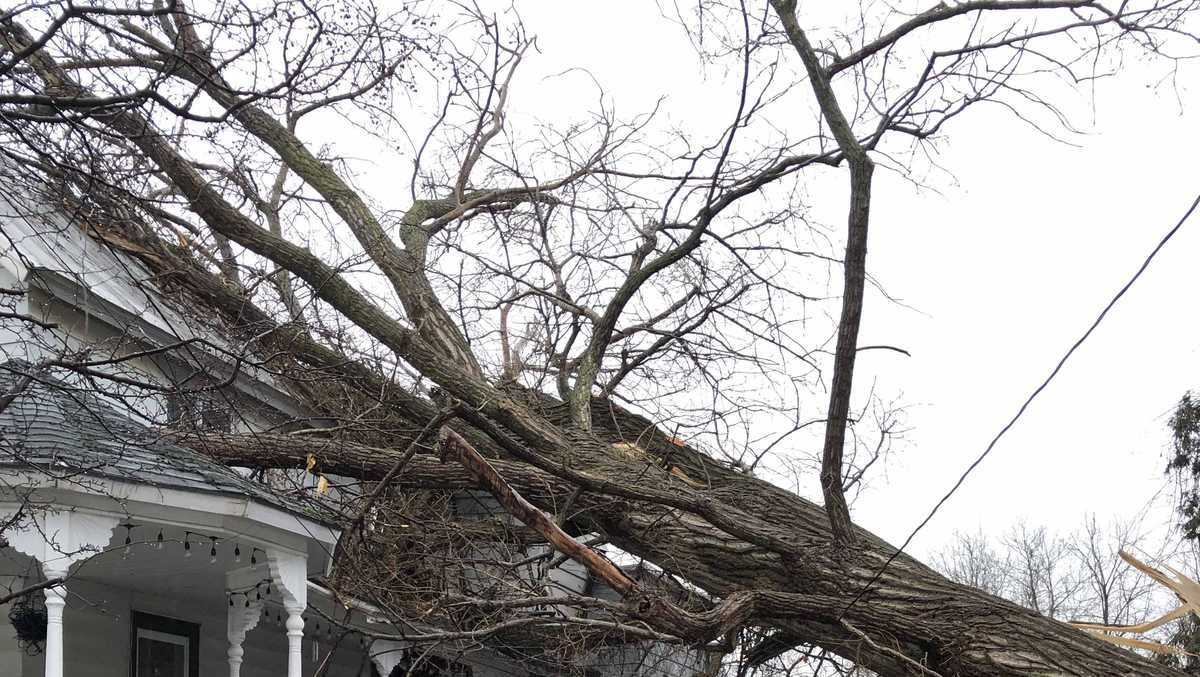 See photos of damage from Tuesday night's winter storm in Vermont