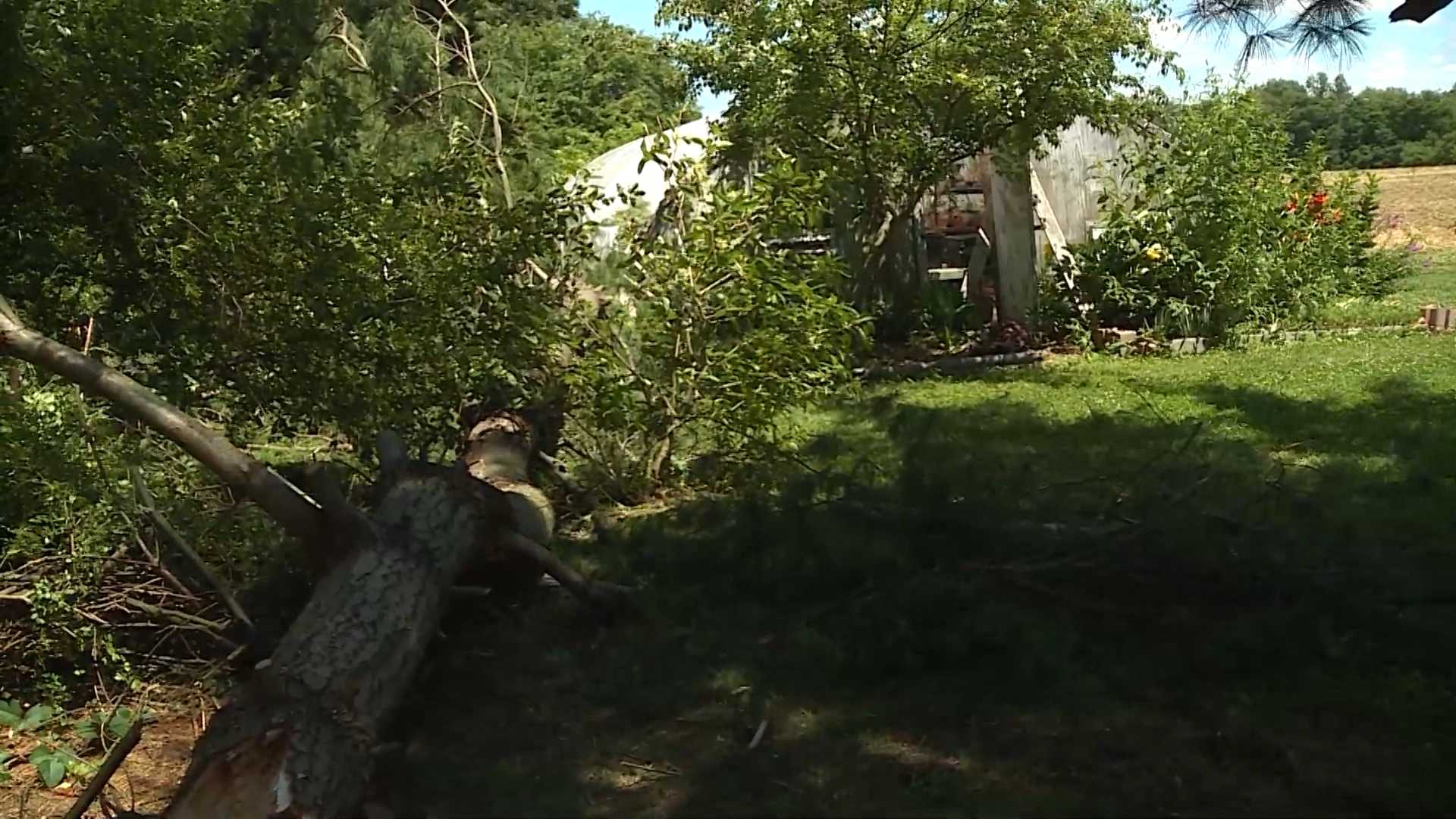 "It's not going to get cleaned up by itself': Cleanup just beginning near St. Leon - Vimarsana News