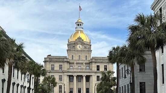 Coming to Savannah for St. Patrick's Day? Start planning now - Vimarsana News