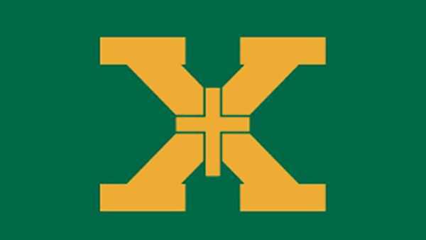 st. x logo