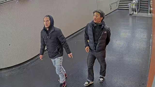 Police seek ID of two men after woman stabbed at South Station - Vimarsana News