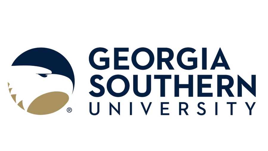 Image result for georgia southern