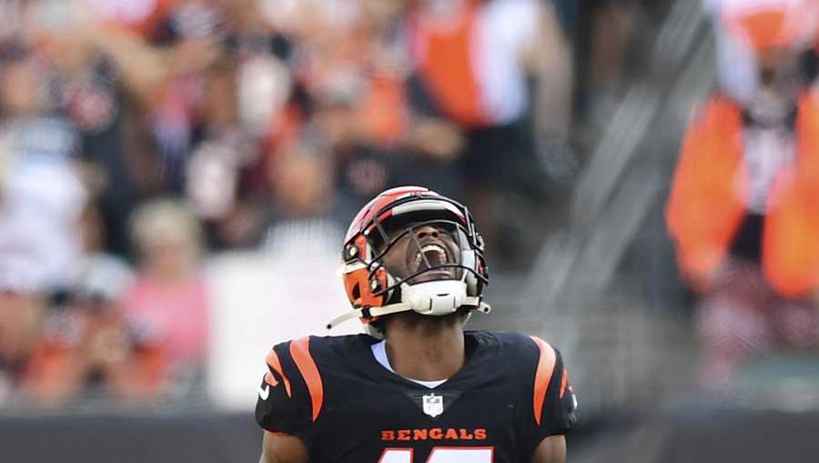 Cincinnati Bengals wide receiver Stanley Morgan (17) and cornerback Tre  Flowers (33) celebrate during an NFL football game against the Kansas City  Chiefs, Sunday, Dec. 4, 2022, in Cincinnati. (AP Photo/Emilee Chinn