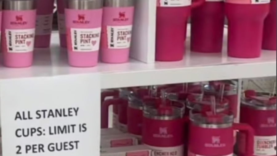 Stanley's Target collaboration sparks in-store and social media frenzy