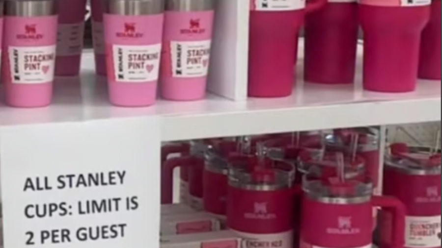 Get Yours Now: Target's Latest Stanley Tumblers in Valentine's Day Hues  Starting at $15!