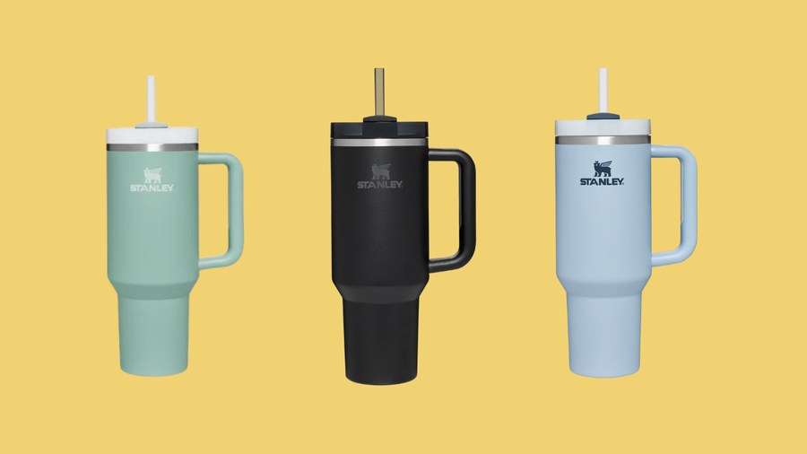 TikTok Loves This Stanley Thermos for Travel