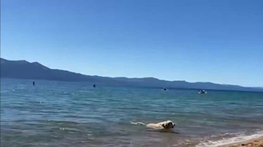 Tahoe 'State of the Lake' report highlights changes in the water