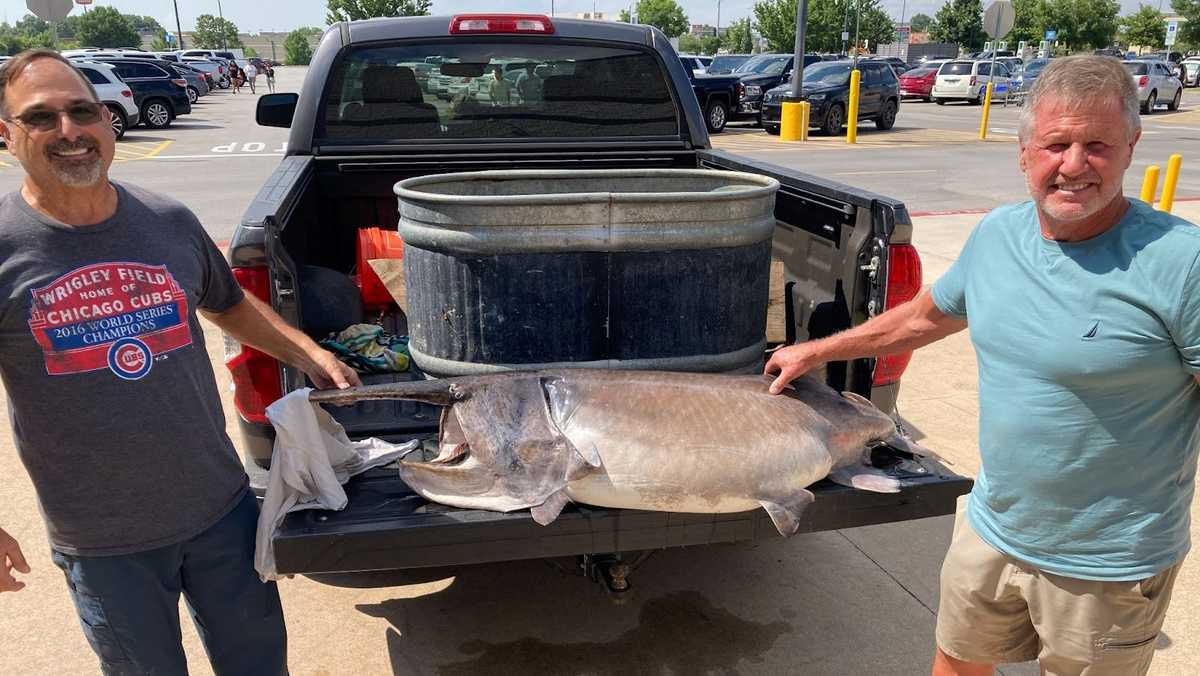 Beaver Lake angler snags record paddlefish, weighing 127 pounds